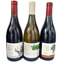 Recanati (Emek Hefer, Galil) - Vinothek Ferszt koscherer Wein