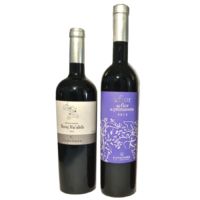 Celler de Capcanes (Katalanien) - Vinothek Ferszt koscherer Wein